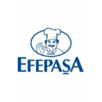 logo_efepasa_11-256x256